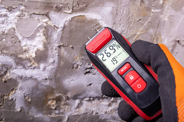 Certified Mold Removal in Rural Retreat, VA