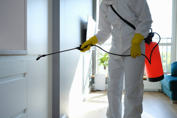 Best Toxic Mold Removal  in Rural Retreat, VA