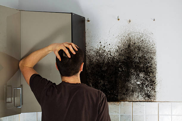 Best Residential Mold Removal  in Rural Retreat, VA